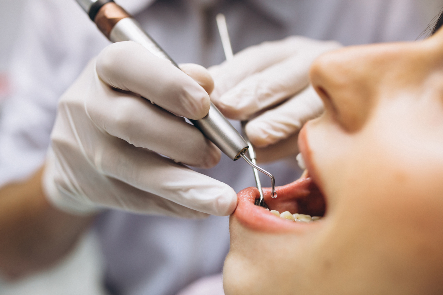 Orthodontics Berwick