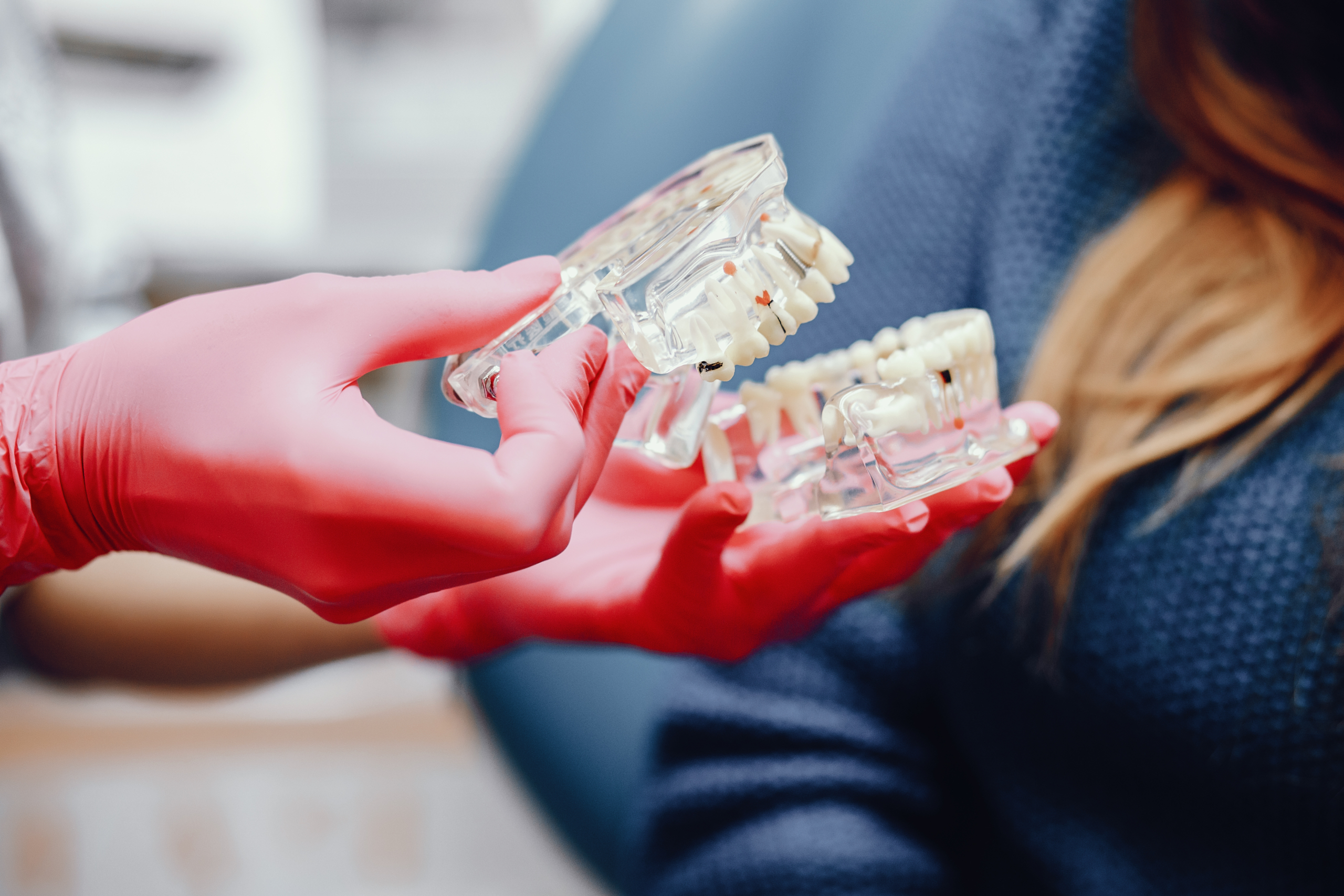 Orthodontist Berwick