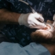 How to Find the Best Dentist for Dental Implants in Berwick - Tweedmouth Dental Clinic